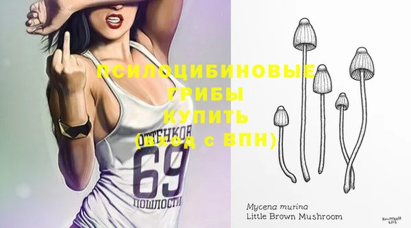 гашиш Арсеньев