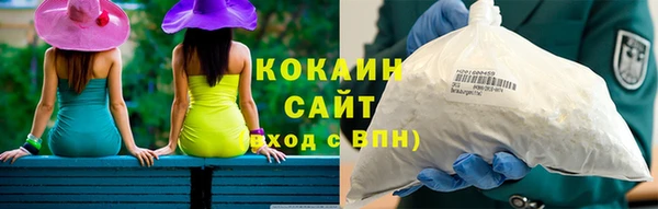 шишки Аркадак