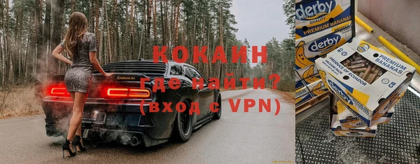шишки Аркадак