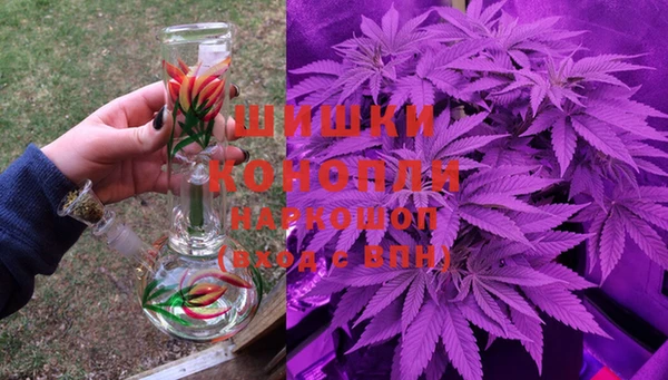 шишки Аркадак