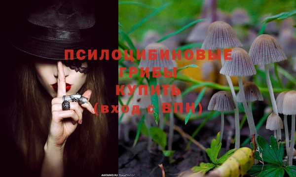 метадон Армянск