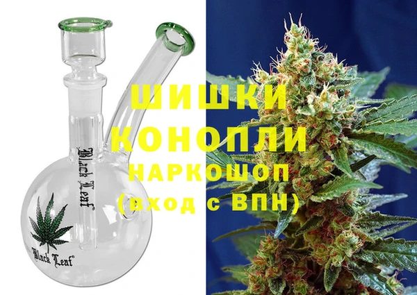 шишки Аркадак