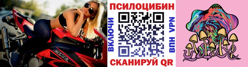 Галлюциногенные грибы ЛСД продажа наркотиков Фрязино